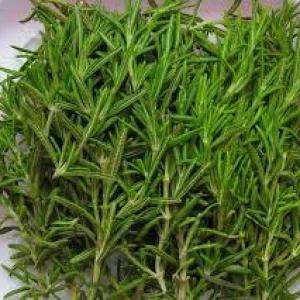 Rosemary
