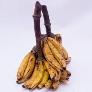 Bunch of plantain