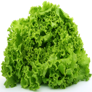 Lettuce 1kg