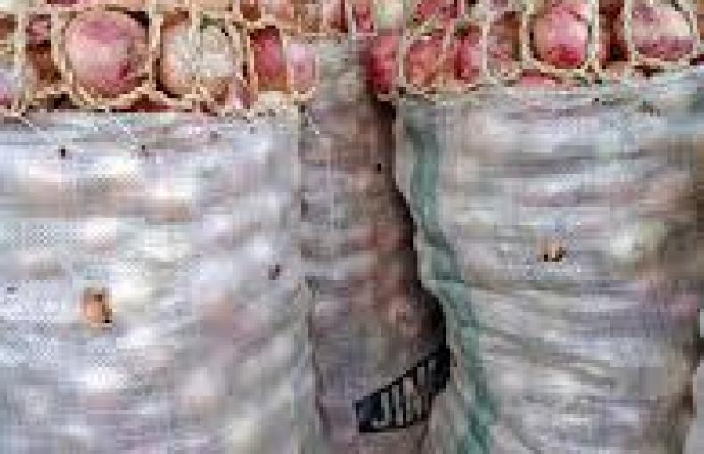 Bag of Onions 70kg