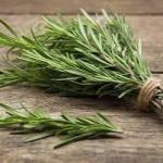 Rosemary