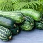 Zucchini 1kg