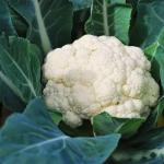 Fresh Cauliflowers 1kg