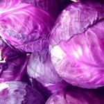 Purple cabbage