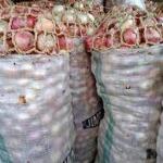 Bag of Onions 70kg